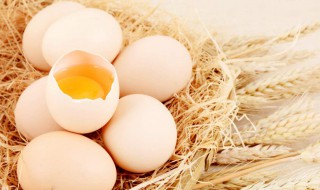 梦见捡鸡蛋 梦见捡鸡蛋是什么预兆 男性