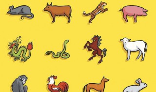 属鸡和属狗的适合做夫妻吗（属鸡女和属狗男的适合做夫妻吗）