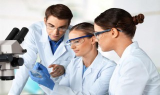 氨基酸主要功效与作用 氨基酸的主要功效