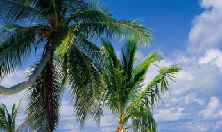 失恋安慰的话（朋友失恋安慰的话）