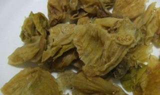 鸡内金片的功效与作用（三九鸡内金片的功效与作用）