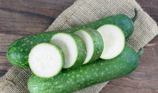 冰箱怎么保存冬瓜（冰箱怎么保存冬瓜不会坏）