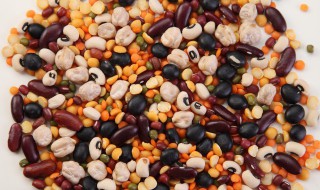 豆豉干怎么保存 豆豉干怎么保存时间长