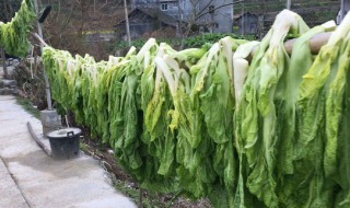 大量蔬菜要怎么保存（大批量蔬菜怎么保存）