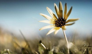 正能量简单一句话（早安朋友圈正能量简单一句话）