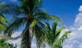 令人心痛到心碎的句子（令人心痛到心碎的句子古风）