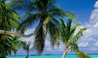 人生励志的句子（人生励志的句子发朋友圈）