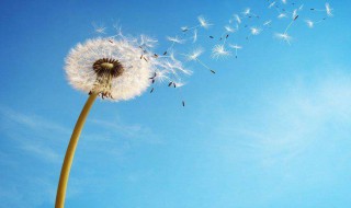 教师节的句子感谢老师的 教师节的句子感谢老师的帮助