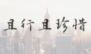 且行且珍惜的经典句子（马伊琍且行且珍惜的经典句子）