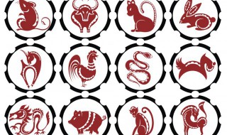 猴跟什么生肖配对最好（猴女跟什么生肖配对最好）