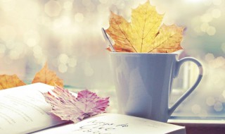 非主流的话（非主流杀马特经典话语）