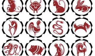 鸡和牛的属相合不合（鸡和牛的属相合不合做生意）