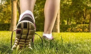 走路的好处（走路的好处及最佳时间）
