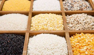 吃杂粮怎样减肥 吃杂粮怎样减肥快