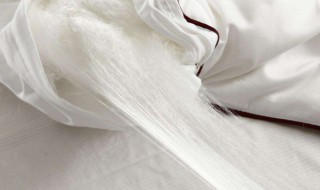 蚕丝被的好处和功效 蚕丝被子的优缺点