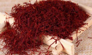 藏红花和红花的区别（藏红花是干嘛用的）