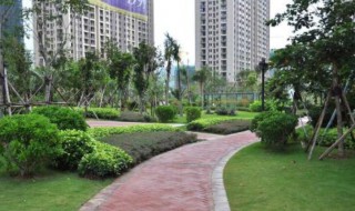 绿地率和绿化率的区别 绿地率怎么计算