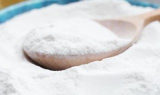 纯碱和小苏打的区别（碱和小苏打一样吗）