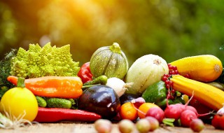 病人吃什么有营养（瘫痪病人吃什么有营养）