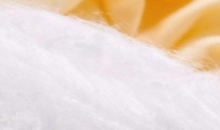 桑蚕丝和柞蚕丝的区别 蚕丝和桑蚕丝有什么区别