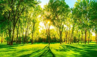 灰尘的好处（除灰尘的方法）