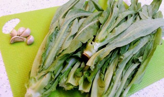 油麦菜的功效和禁忌（油麦菜的功效和禁忌十大致癌蔬菜）