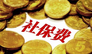 社保可以退吗（社保可以退吗?能退多少）