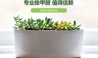 除甲醛最可靠的方法（除甲醛最可靠的方法有哪些）