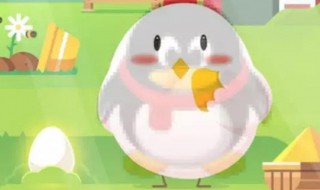 小鸡高级饲料怎么获得 小鸡宝宝怎么样才能快速获得饲料