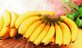 近视眼吃什么好（近视眼吃什么好对眼睛）