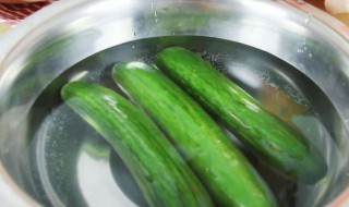 冰箱怎么保存青瓜（青瓜可以放冰箱保鲜吗）