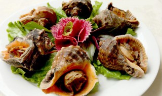 贝壳类保存方法 贝壳类海鲜保存方法