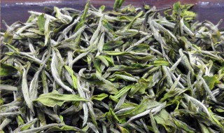 保存生茶的方法（养生茶怎么保存）