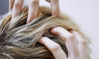 头发多久洗一次比较好（油性头发多久洗一次比较好）