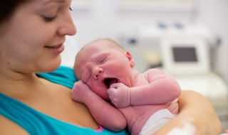 鸽子汤下奶吗 鸽子汤怎么炖好喝又营养