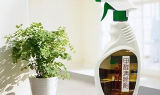 甲醛怎么去除 甲醛怎么去除比较快