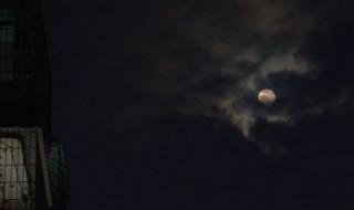 晚安的朋友圈说说（晚安的朋友圈说说简短）