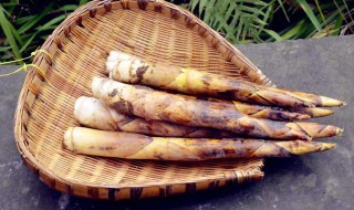 冬笋怎么找准位置（冬笋怎么找准位置视频）