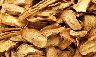 牛蒡茶怎么喝减肥最快 牛蒡茶的功效与作用可以长期喝吗