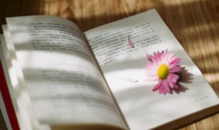 生活的说说（生活的说说心情短语）