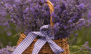 七月半烧纸封包怎么写（七月半烧纸封包怎么写图片）