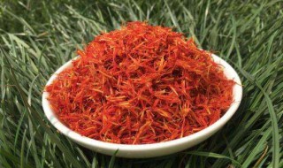 红花和藏红花的区别（抗肿瘤最强的中草药）