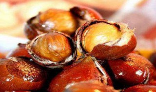 油栗和板栗的区别（板栗和油栗的区别图片）