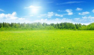 朋友圈晒风景的说说（出去溜达心情好的句子）