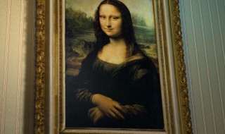 蒙娜丽莎恐怖之处（蒙娜丽沙的恐怖之处）