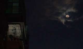 想念一个人的暖心说说（想念一个人的暖心说说短句）