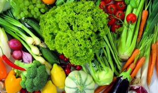 夏天吃什么菜最好 夏天吃什么菜最好小孩