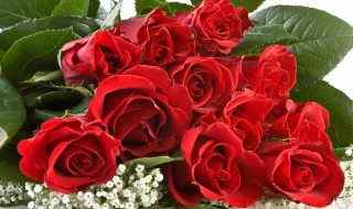 教师节礼物送什么最好（教师节礼物送什么最好简单）