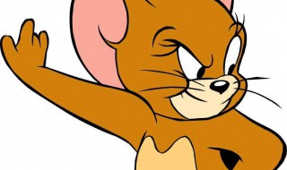 老鼠怕什么气味的东西 老鼠怕什么气味的东西和香味