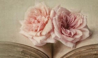 哪有什么岁月静好的完整诗句是（哪有什么岁月静好,只是有人负重前行）